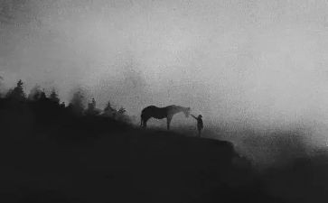 小班一样和不一样教案8篇