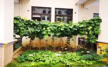 游菜花节作文推荐6篇
