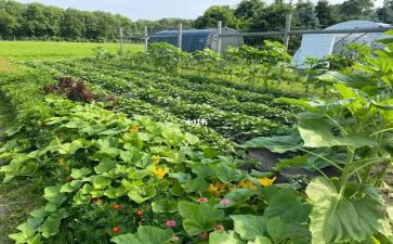 湘菜活动方案策划通用6篇