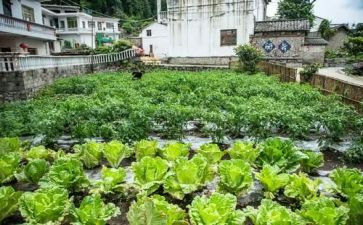 湘菜活动方案策划模板8篇