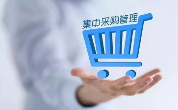 采购工作的工作计划最新6篇