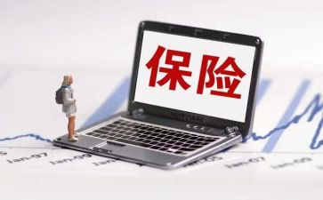2024年财险工作总结6篇