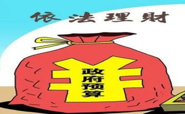 财政所个人年终工作总结范文8篇