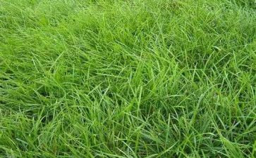 2024年烟草客户经理工作总结6篇