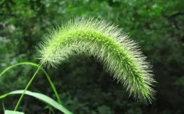 烟草培训工作总结6篇