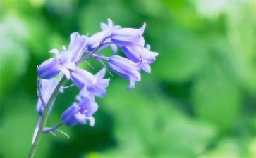 烟草公司年度总结7篇