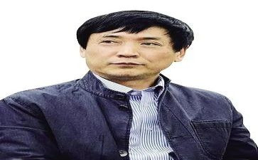 曹文轩漂来的猫读后感优质8篇