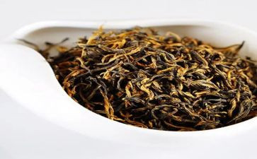茶艺作文7篇