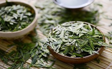 茶经心得体会800字最新7篇