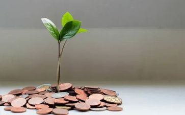 产品技术服务合同8篇