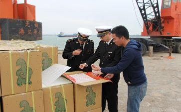 查验预防接种证工作总结6篇