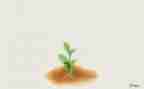 我的成长600字作文通用5篇