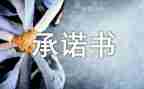 企业售后服务承诺书5篇