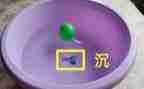 沉与浮幼儿园教案参考7篇