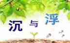 沉与浮幼儿园教案模板5篇