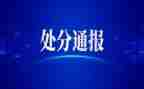 学生撤销处分申请书5篇