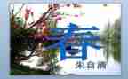 2024春节晚会作文600字作文5篇