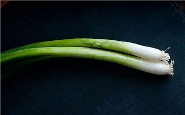 大班科学葱和蒜教案6篇