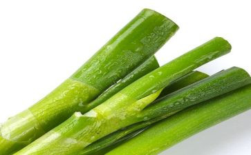 葱的收获和心得体会优质5篇