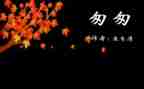 读匆匆读后感500字7篇