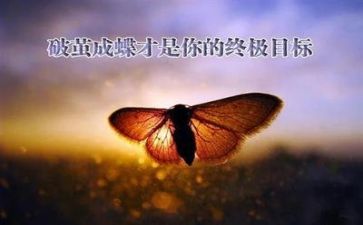 抗挫折的心得体会5篇