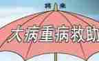 2024年大病救助申请书推荐8篇