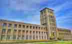 大二医学生自我鉴定800字6篇