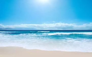 大海作文600字8篇