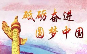 党年度工作总结及明年工作计划8篇