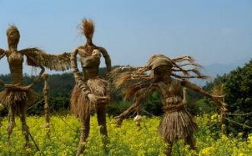 读后感稻草人读后感参考8篇