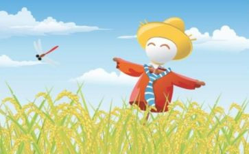 读后感稻草人读后感最新5篇