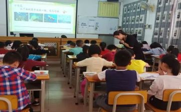 大学生指导课心得体会优质6篇