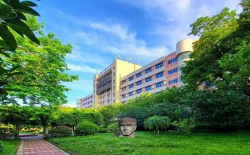 2024年大专生自我鉴定8篇