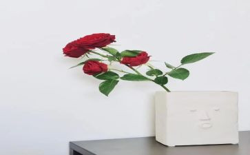 我在等你读后感6篇