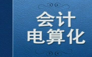 电算化会计实训心得5篇