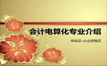 电算化总结报告7篇