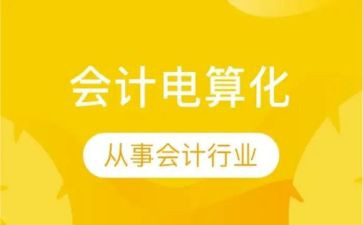 会计电算化实训的心得体会5篇