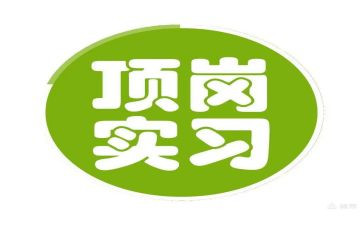 顶岗实习教师总结优秀8篇
