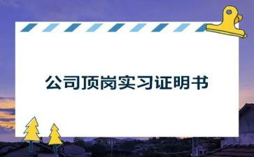 顶岗个人总结范文8篇
