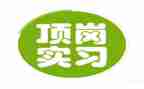 顶岗实习教师总结优秀8篇