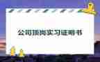转顶岗申请书5篇
