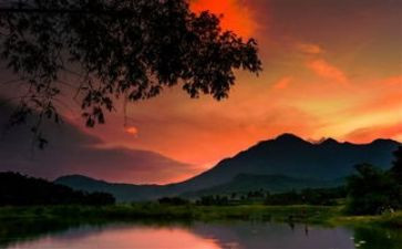 《定格》作文参考6篇