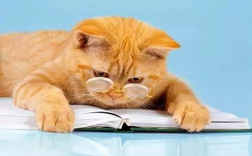 我读懂了他作文600字最新5篇