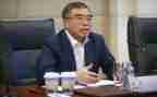 公司董事述职报告5篇