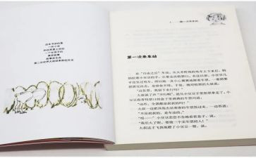 小豆豆作文优秀6篇
