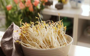 生豆芽作文推荐6篇