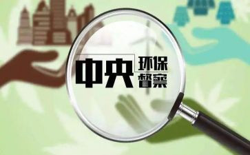 个人督查工作总结8篇
