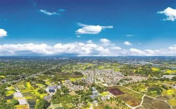 郫都区2023年工作计划推荐8篇