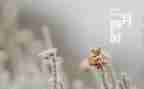 班主任工作十二月工作计划5篇