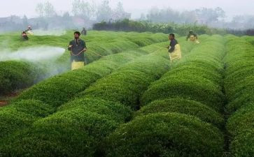 大气污染防治工作总结的范文7篇